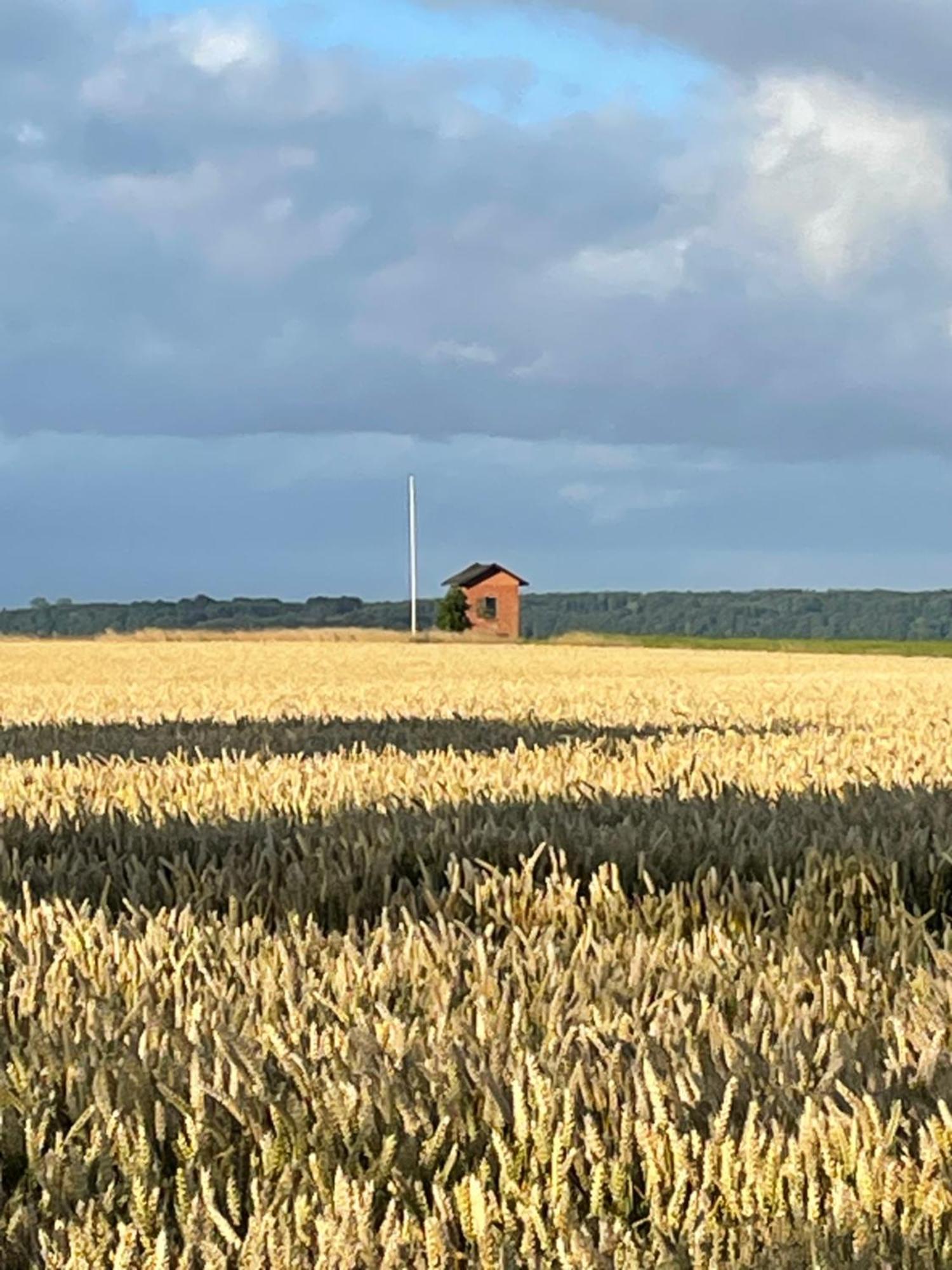 Sovgodt Nyord - Primitiv Overnatning Bagian luar foto